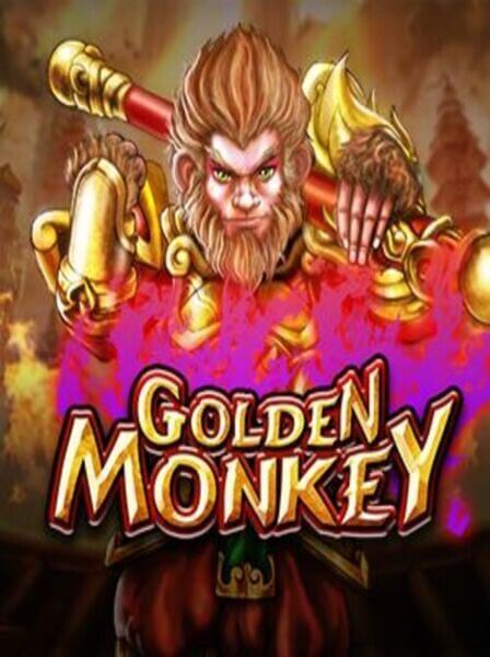 Trải nghiệm RoyalVegas Casino Pro ngay hôm nay